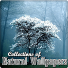 Nature Wallpaper ikon