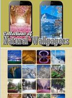 2 Schermata Nature Wallpaper