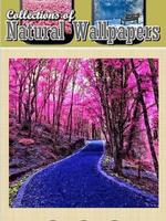 Nature Wallpaper 스크린샷 3