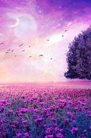 Nature Wallpaper 스크린샷 3