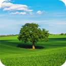 Nature Wallpapers APK