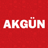 Akgün B2B アイコン