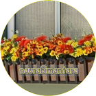 Flower window box icon