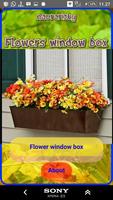 Caixa de janela de flores Cartaz