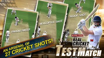 Real Cricket™ Test Match تصوير الشاشة 3