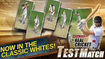 Real Cricket™ Test Match تصوير الشاشة 2
