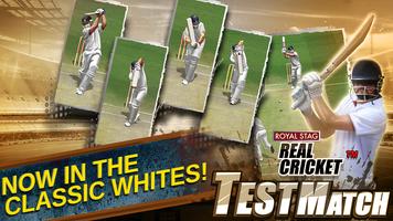 Real Cricket™ Test Match Ekran Görüntüsü 2