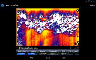 Lowrance GoFree Controller Affiche