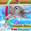 Dolphin Show