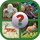 Guess the Animal APK