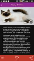 Informasi Jenis Kucing captura de pantalla 3