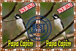 Cantos Da Papa Capim Barasilio Amazone Mp3 স্ক্রিনশট 2