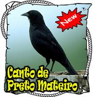 Cantos Da Preto Mateiro poster
