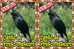 Cantos Da Preto Mateiro स्क्रीनशॉट 1