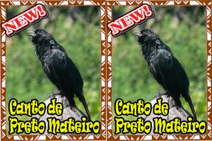 Cantos Da Preto Mateiro capture d'écran 1