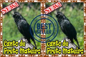 Cantos Da Preto Mateiro स्क्रीनशॉट 2