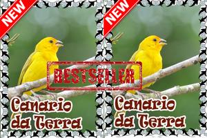 Cantos Canario da Terra Mp3 स्क्रीनशॉट 2