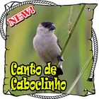 ikon Canto Da Caboclinho Brasilios Mp3