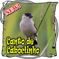 Canto Da Caboclinho Brasilios Mp3 poster