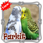 ikon Suara Burung Parkit Terbaik Dan Terbaru Mp3