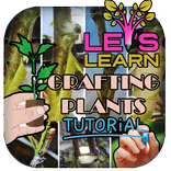 Grafting Plants Tutorial