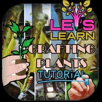 Grafting Plants Tutorial poster