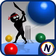 Googly Cricket アプリダウンロード