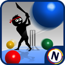 Googly Cricket APK