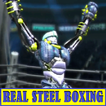 The fight of real steel boxing champion