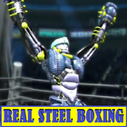 The fight of real steel boxing champion icône