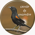 Canto De Encontro