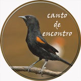 Canto De Encontro icon