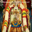 Tiruchanur Padmavathi Ammavari Temple Videos