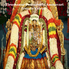 Tiruchanur Padmavathi Ammavari Temple Videos ikon