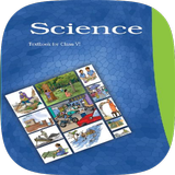 6th Science NCERT Solution icône