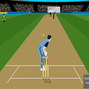 Hit & Bowl Cricket Games APK
