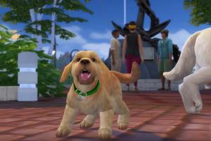 Tips The Sims 4 Cats & Dogs FREE পোস্টার