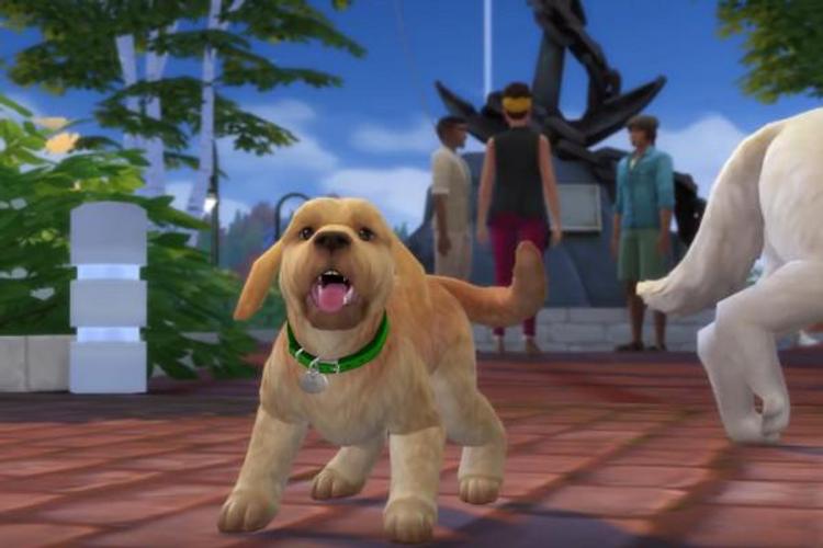 Tips The Sims 4 Cats Dogs Free For Android Apk Download