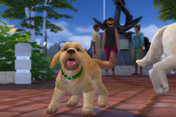 Sims Sims