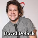 David Dobrik Videos APK