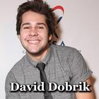 David Dobrik Videos icône