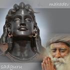 Sadhguru Tamil icono