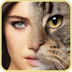 Ani Face APK