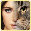 Ani Face APK