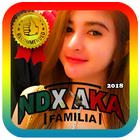 NDX AKA Familia Dangdut Mp3 icône