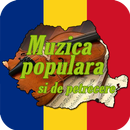 Muzica Populara si de petrecer APK