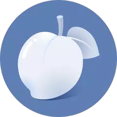 Necta Launcher ( Even children and senior can use) APK download