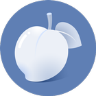 Necta Launcher icon