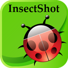 InsectShot আইকন