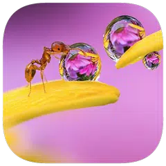 130 Photo Crosswords Icon